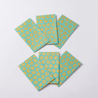 Sea Summit 4分设定 | 小箱迷你茶罐 | 冲绳 島根