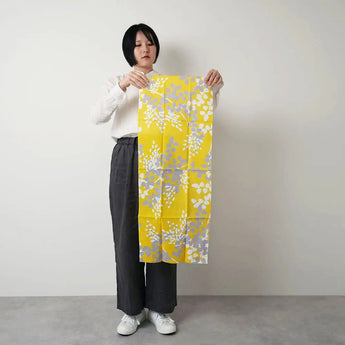 尼西亚卡西亚 蓝·艾罗 | Aobato | 手绘 Aobato